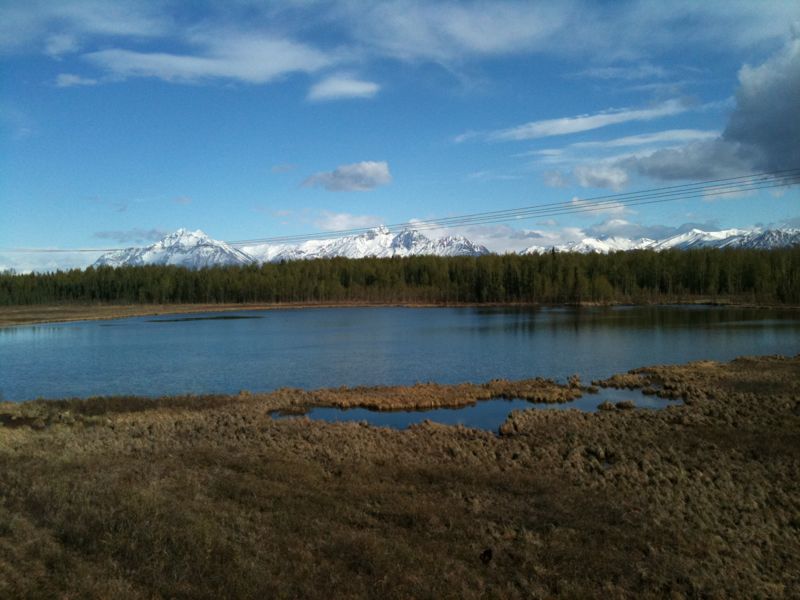 Tundra- und Alpinlandschaft um den Mount McKinley