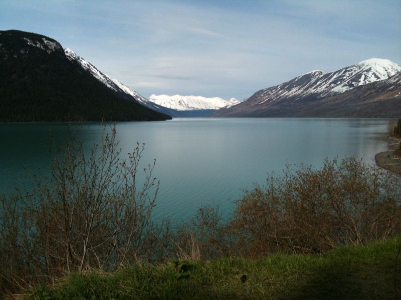 Blick vom Seward Highway auf den Kenai Lake 