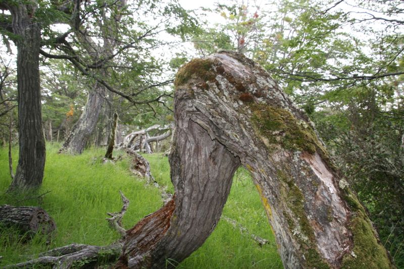  von der Natur optimal vorbereitet.