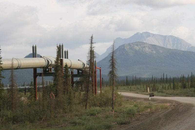 Die oil-pipeline folgt oft dem Strassenverlauf. Vereinzelte Schwarzfichten weichen ....