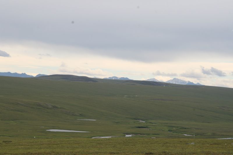 .. der Tundra und spter der Moorlandschaft