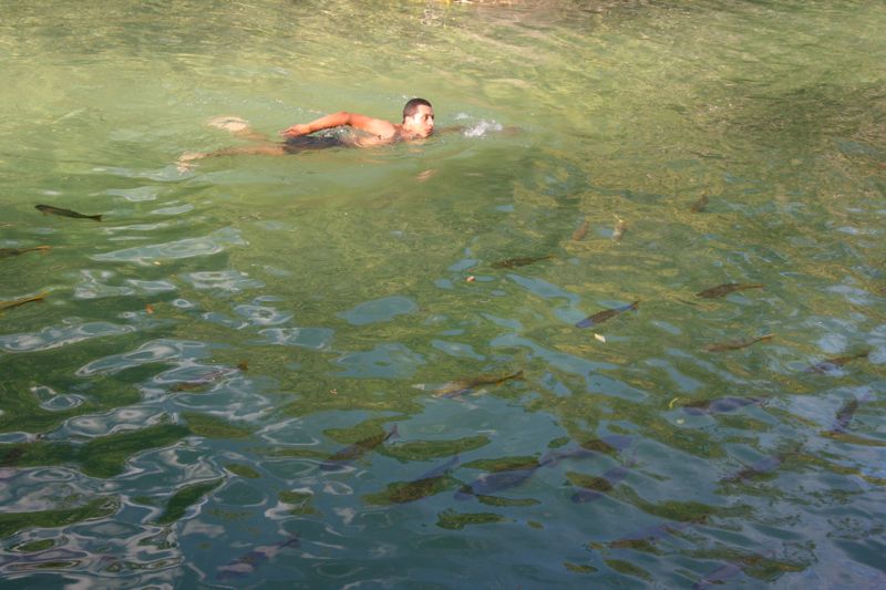 im Balnario Municipal, einem Flussschwimmbad, tummeln sich Doraden und Touris, berwindung meinerseits. Nicht wegen der Touris;