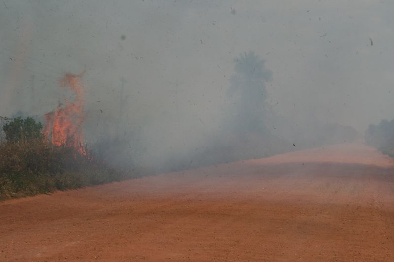 Gefahr! In Australien habe erlebt, wie wahnsinnig schnell sich Buschbrnde ausbreiten. Also nichts wie weg hier!!