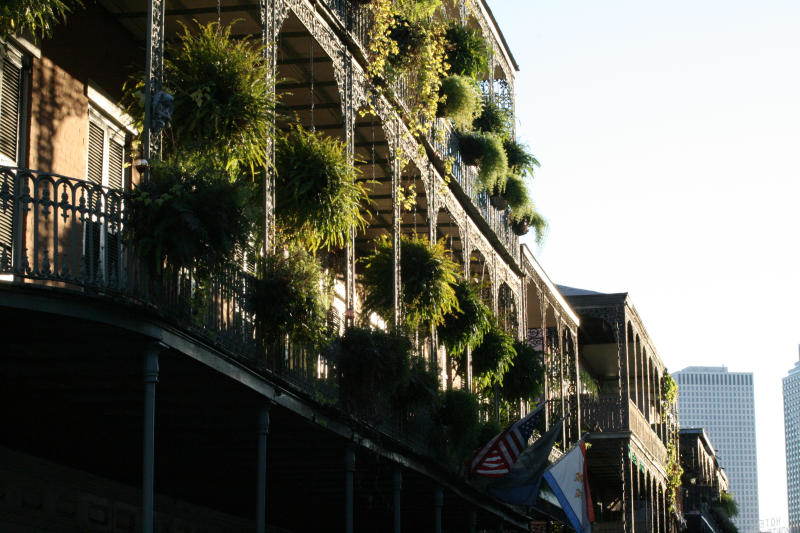 Dafr ist New Orleans berhmt