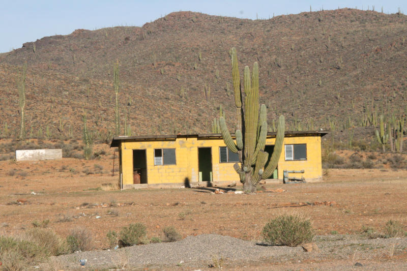 Abseits der touristischen Hochburgen sieht die nrdliche Baja-Welt ganz anders aus