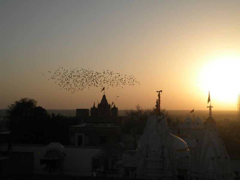 phantastische Aussicht vom Turm des Jain-Tempels