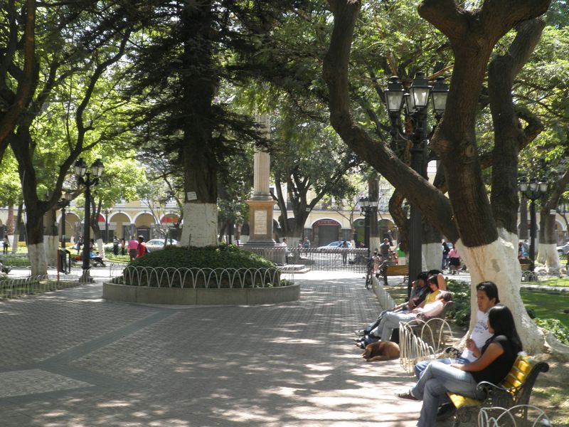 Mein erster Sonntag in Cochabamba, Plaza de Colon, alles sehr friedlich und bedchtig