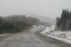 Aber auf dem Weg zum Summit Lake, dem hchsten Pass auf dem Alaska Highway mit 1.250m Hhe, sinkt die Temperatur naturgemss ab und es beginnt zu schneien
