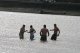 Mutige Mitreisende testen die Wassertemperatur- das ewige Eis ist nicht weit