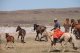 Steppe. Gaucho at work