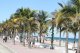 ... aber auch in Fort Lauderdale gibt es Palmen. Und einen schnen Strand frs lunch