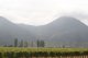 Weingegend. Von Mendoza kommend ziehen sich die Felder in einem schmalen fruchtbaren 	Streifen bis 300 km sdlich von Santiago hin 