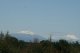 Chile vom Feinsten: in der Hhe von Temuco schauen wir auf die beiden Vulkane Llaima 	und Lonqumay, beide um 3.000 m hoch. 