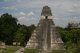 Gran Plaza mit DEM Blick vom templo II auf den templo I und den Dschungel