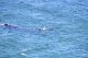 In den geschtzten Buchten von Valds ziehen die Wale ihren Nachwuchs gross