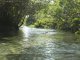 oder hier am Rio Sucuri, wo wir uns nach 1 km Flussaufwrtspaddeln ber eine Stunde schnorchelnd flussabwrts treiben lassen;