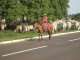 bewacht von mehreren dieser sympathischen Gauchos. Spter, in Chapada, sehe ich mal einen strammen Gaucho stolz nach Hause reiten: mit einer Plastikeinkaufstte in der Rechten auf dem Weg zum Weibe